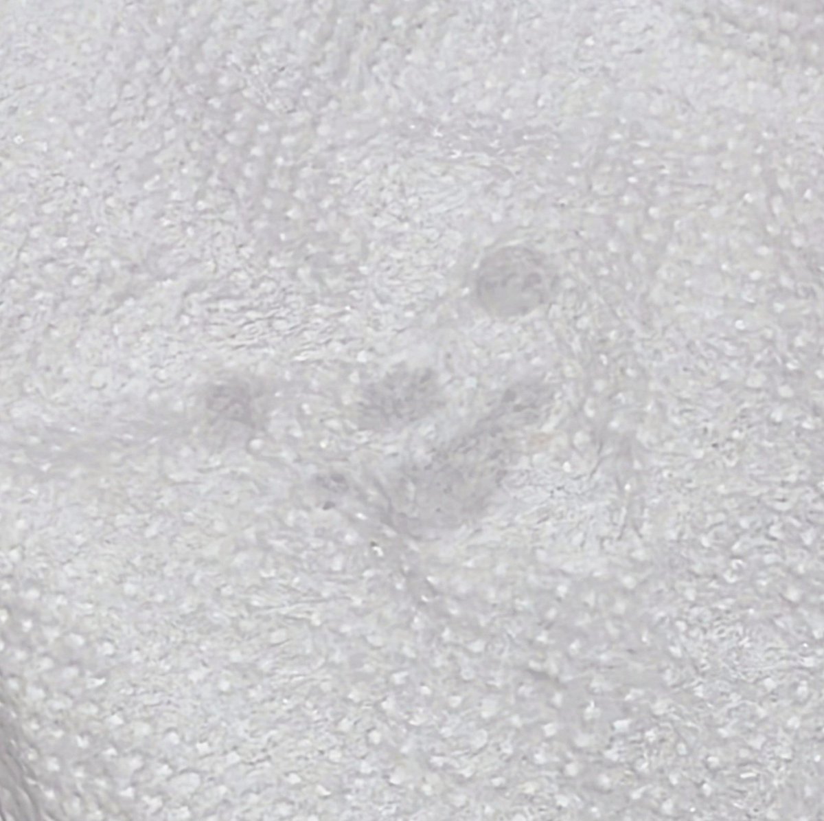 Darling ᘏ⑅ᘏ tweet media