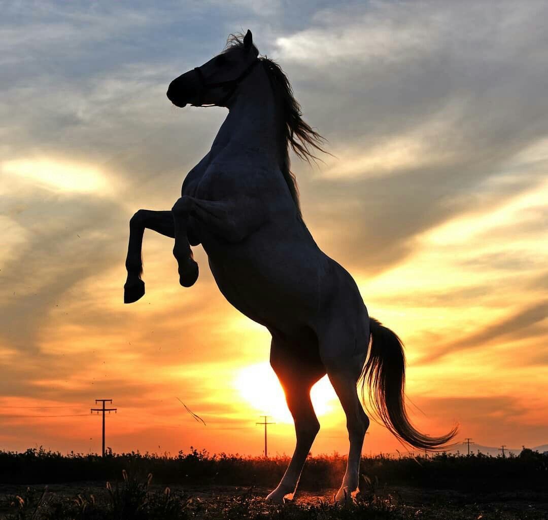 Trey Haas tweet media