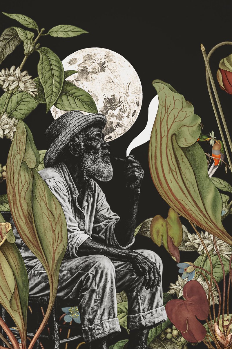 blackcollage_'s tweet photo. minha primeira arte vs minha última arte https://t.co/XH7ERHirD6