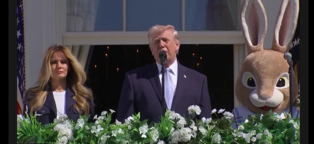 Deviant Amps tweet media