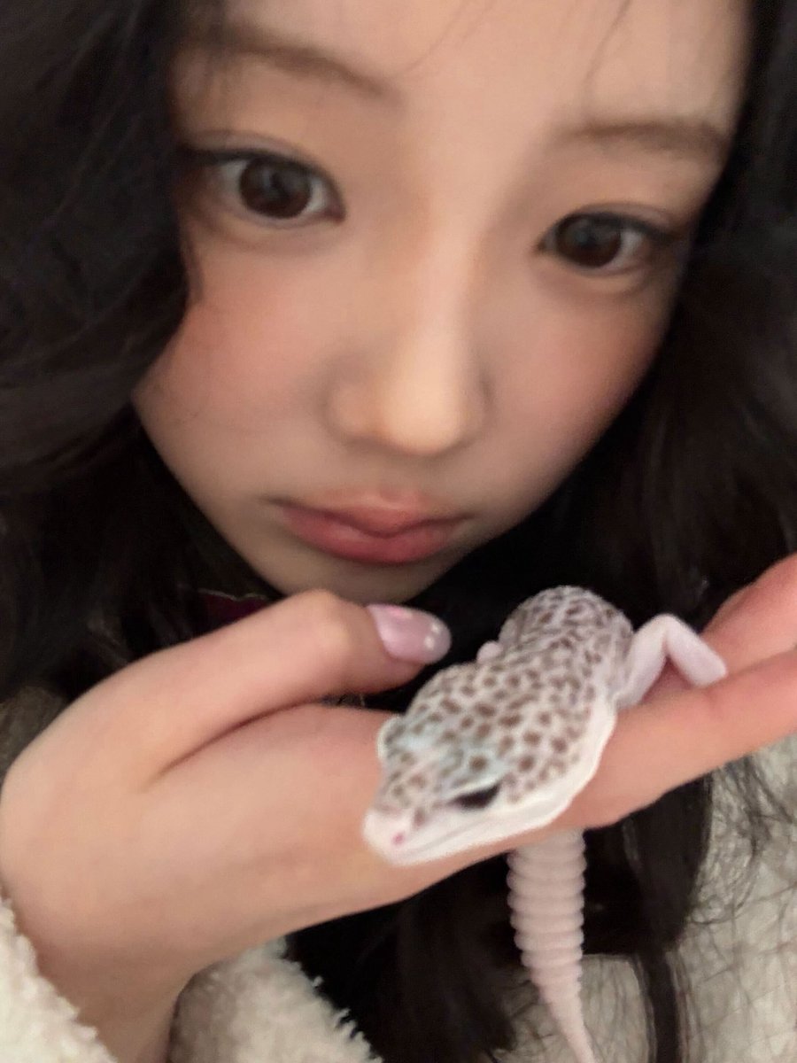 wonhee weverse update