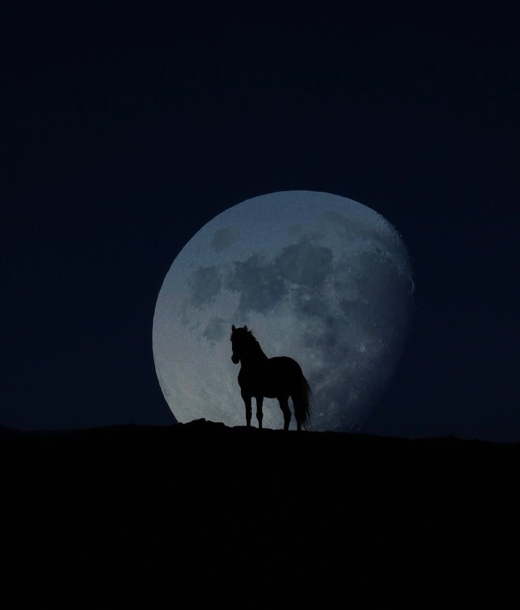 Trey Haas tweet media