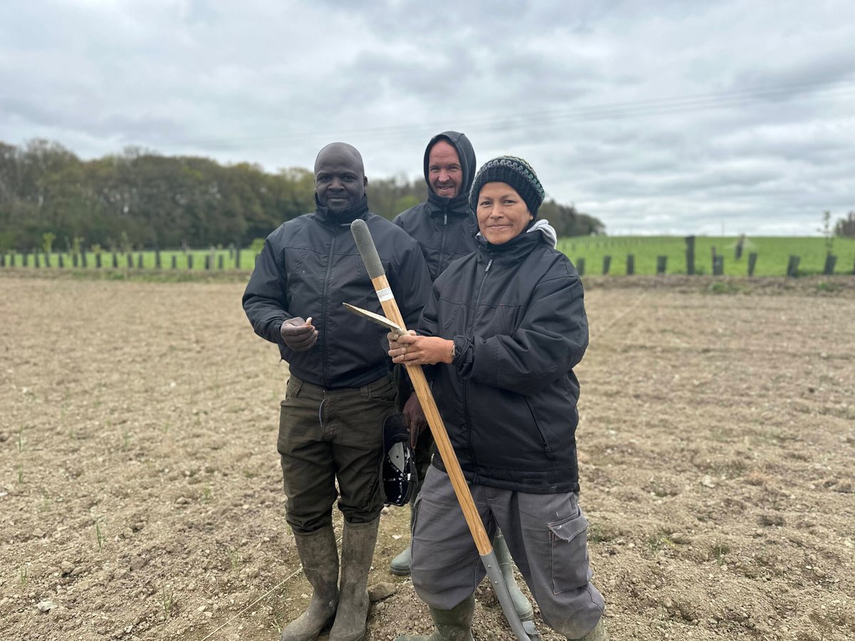 Le Parisien tweet media