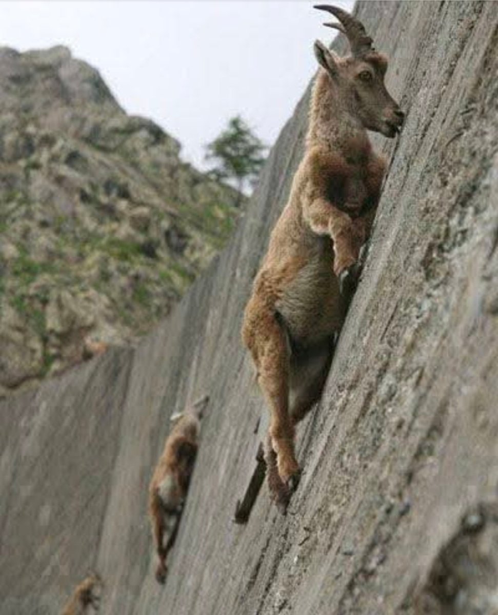 Ryan Moulton tweet media