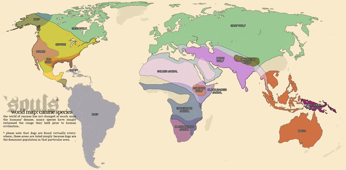 Vintage Maps tweet media