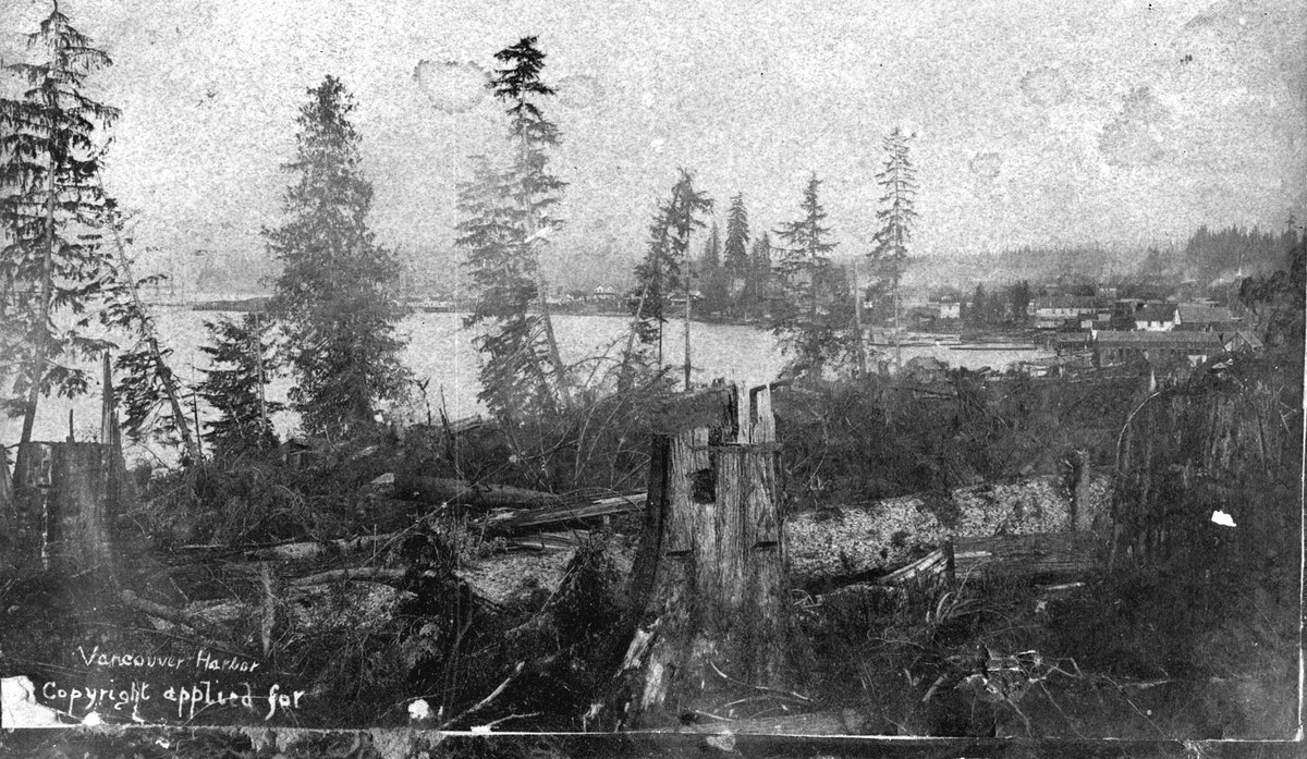 vpsn's tweet photo. VANCOUVER DAY 140+ On this day in 1886, the city of Vancouver was incorporated – on territories that are the traditional and unceded homelands of the Musqueam, Squamish and Tsleil-Waututh Nations. The Nations have lived here since “time out of mind.”

https://t.co/vhcxHJyr47 https://t.co/gcX8RXJGm4