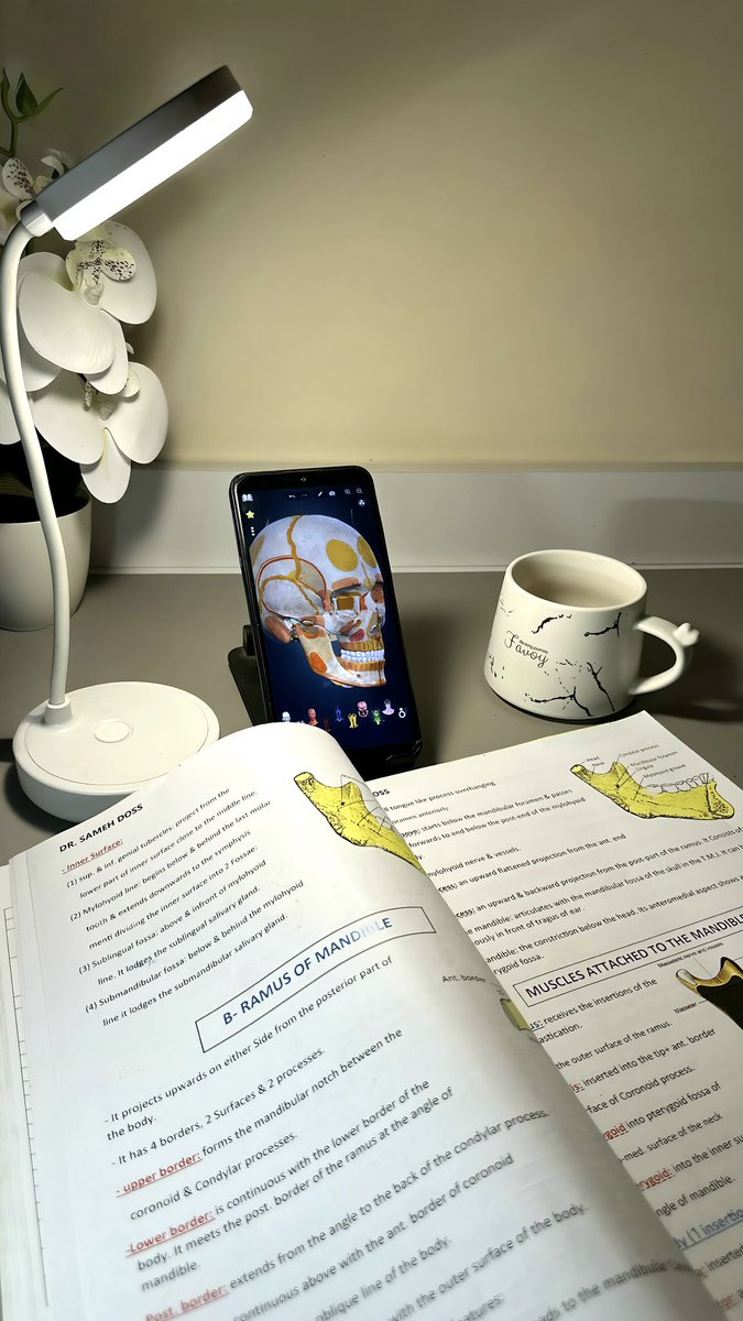 غيم✨ tweet media