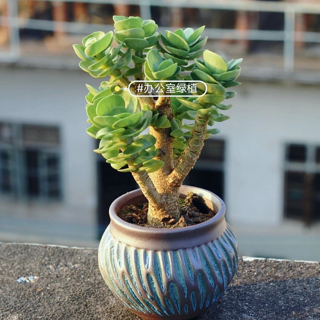 Gerd Thieme tweet media