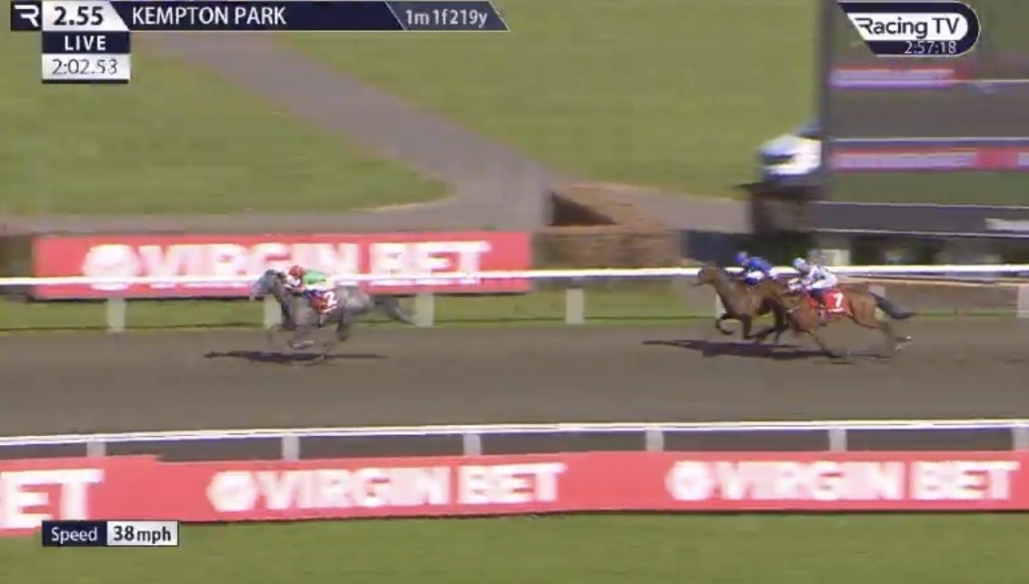 the racing newsletter tweet media