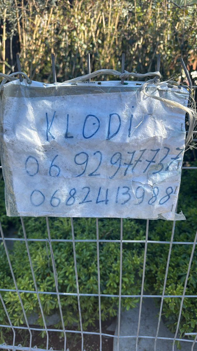 ndor tzotit tweet media