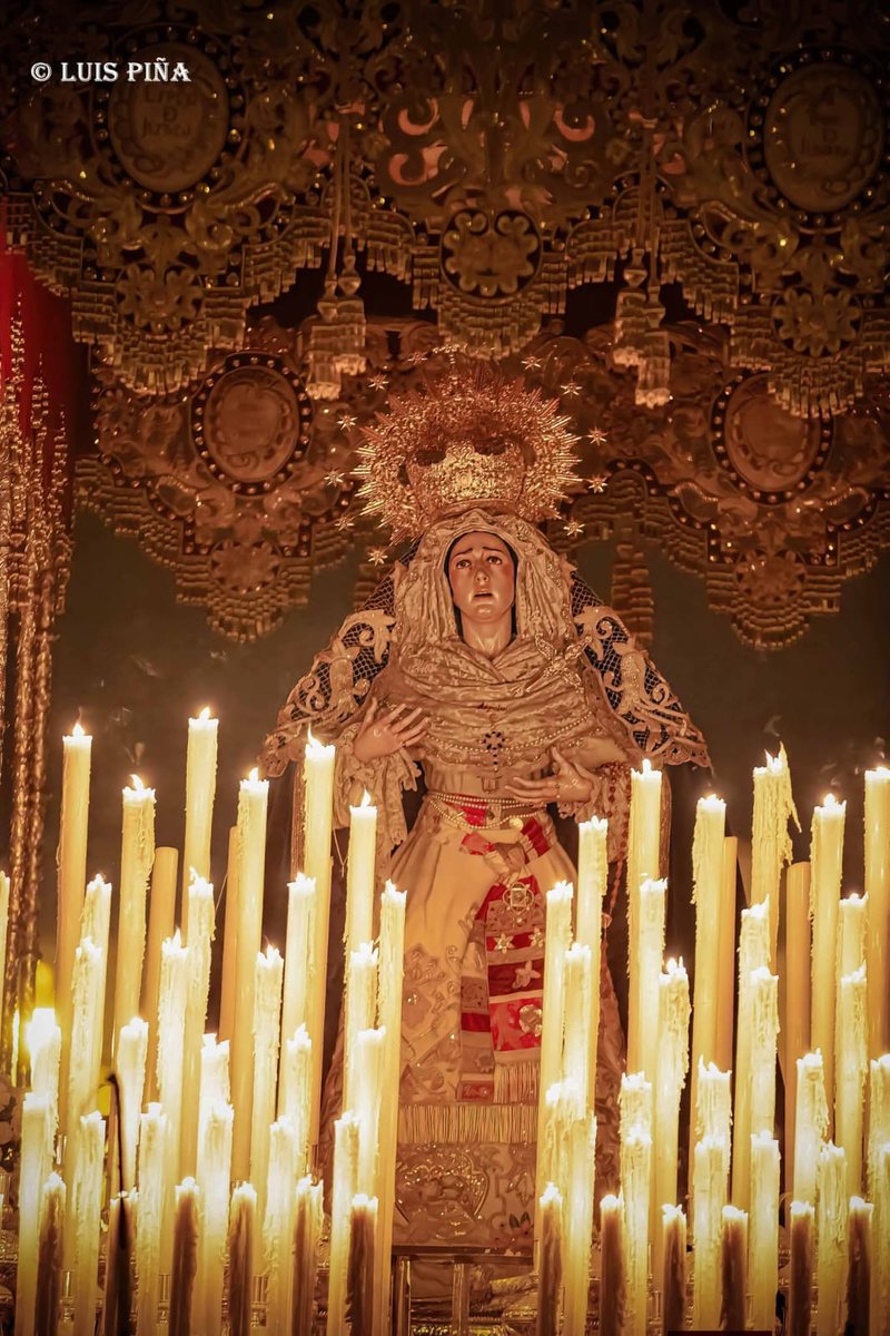 Hermandad del Perdón Alcalá tweet media