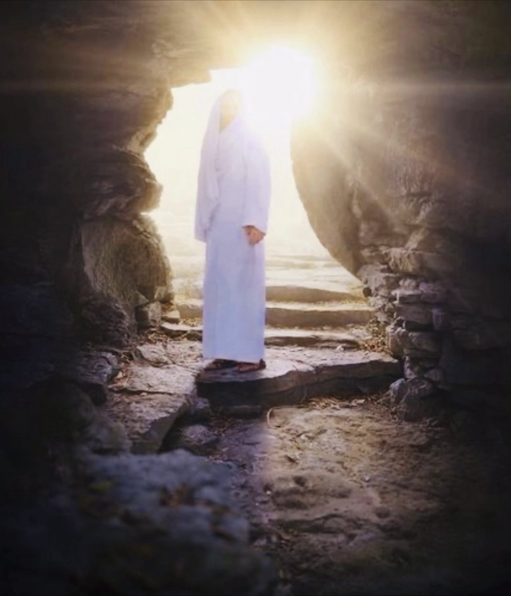 NANCY✊ tweet media