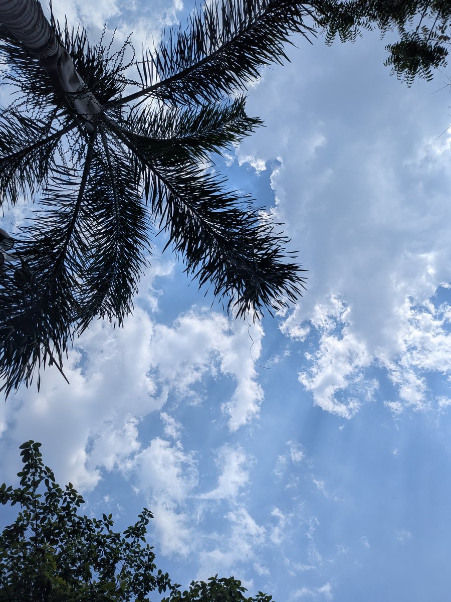 7id___'s tweet photo. Peak Detailing by Delhi Clouds https://t.co/gIoqG1c2vn
