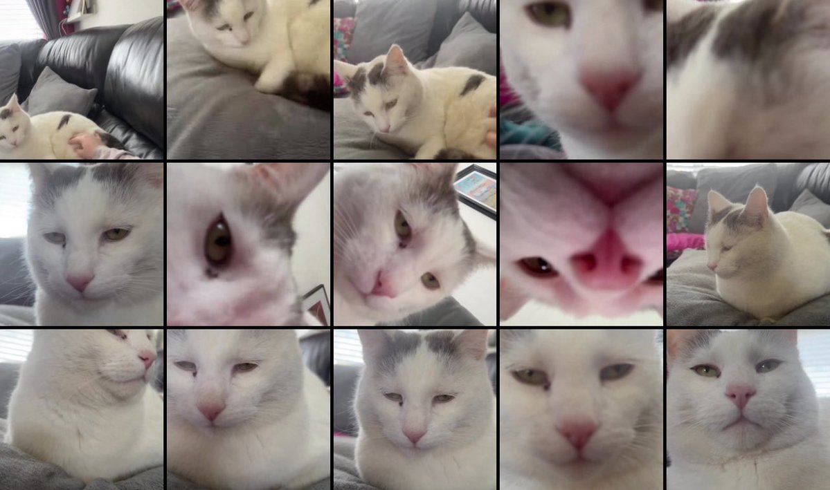 ticky ! ᝰ🖍🐇 tweet media