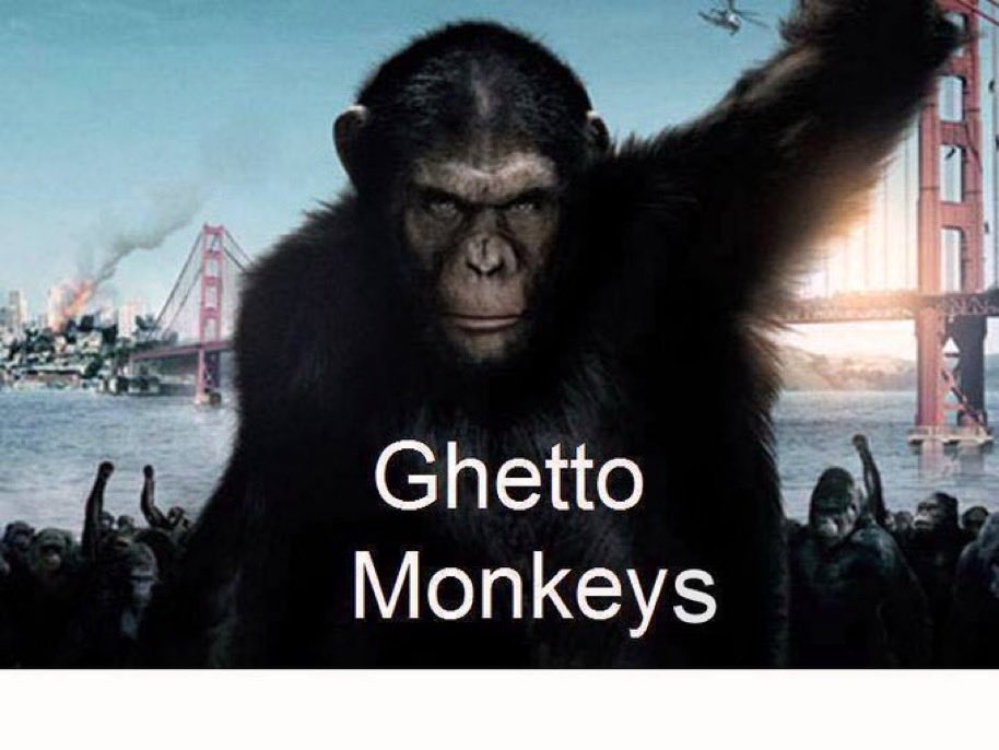 Texas Freedom tweet media