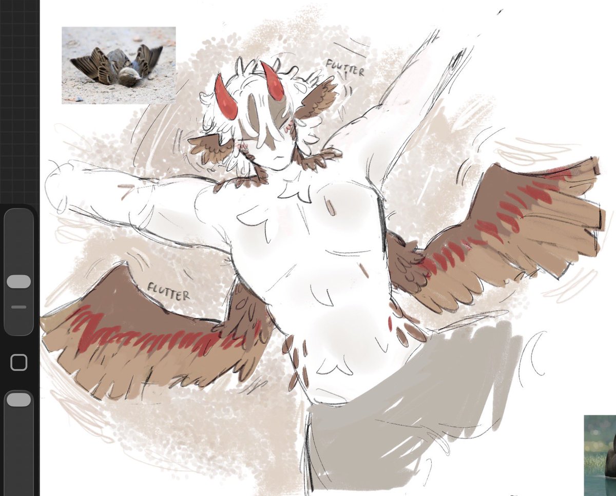 gummy 🪸 tweet media