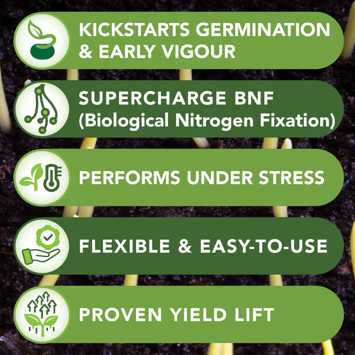 ActiveAgriAUS's tweet photo. Give your legumes the best start possible with Active PLS™ — support germination, early vigour, and biological nitrogen fixation.

✅ Performs under pressure
✅ Works seamlessly with inoculants
✅ Flexible and easy to use
✅ Proven yield lift

https://t.co/SiPGIVtGb8 https://t.co/aNJFrWGfQj