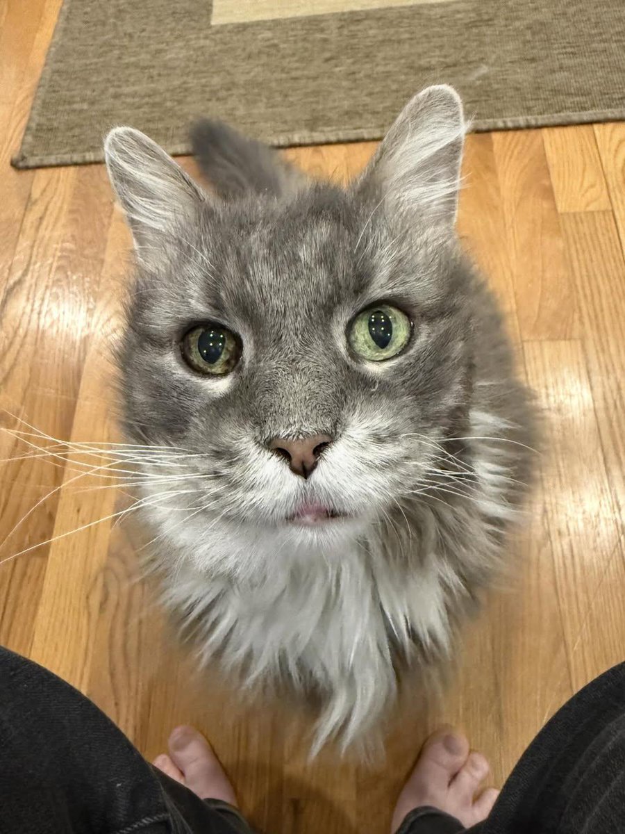 Sara Mary ⭐❤️ tweet media