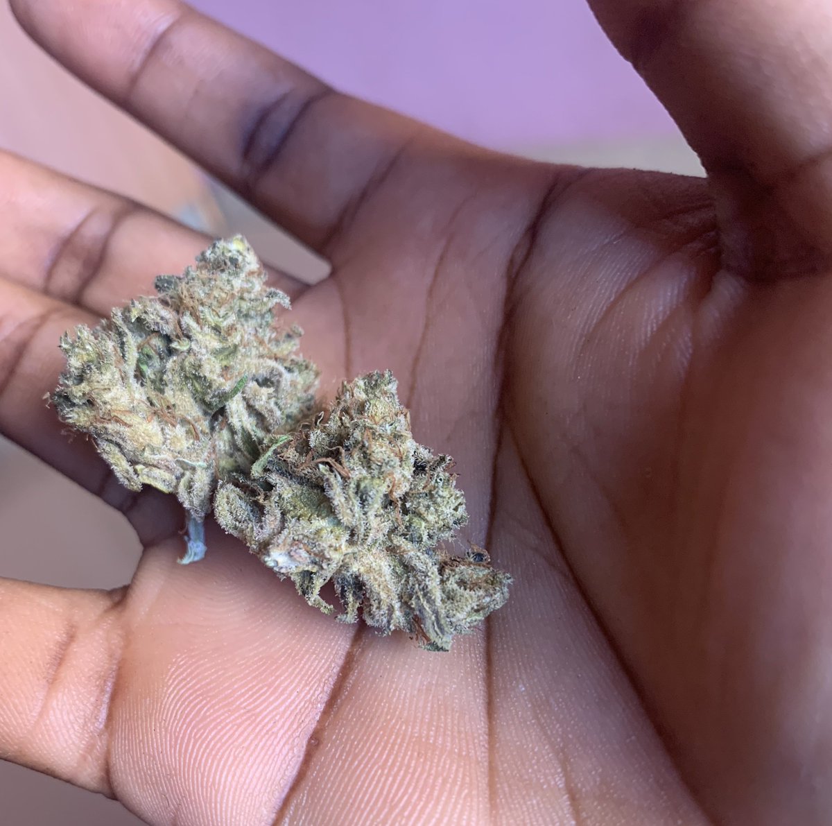 Mon Vrai Amour🥀 tweet media