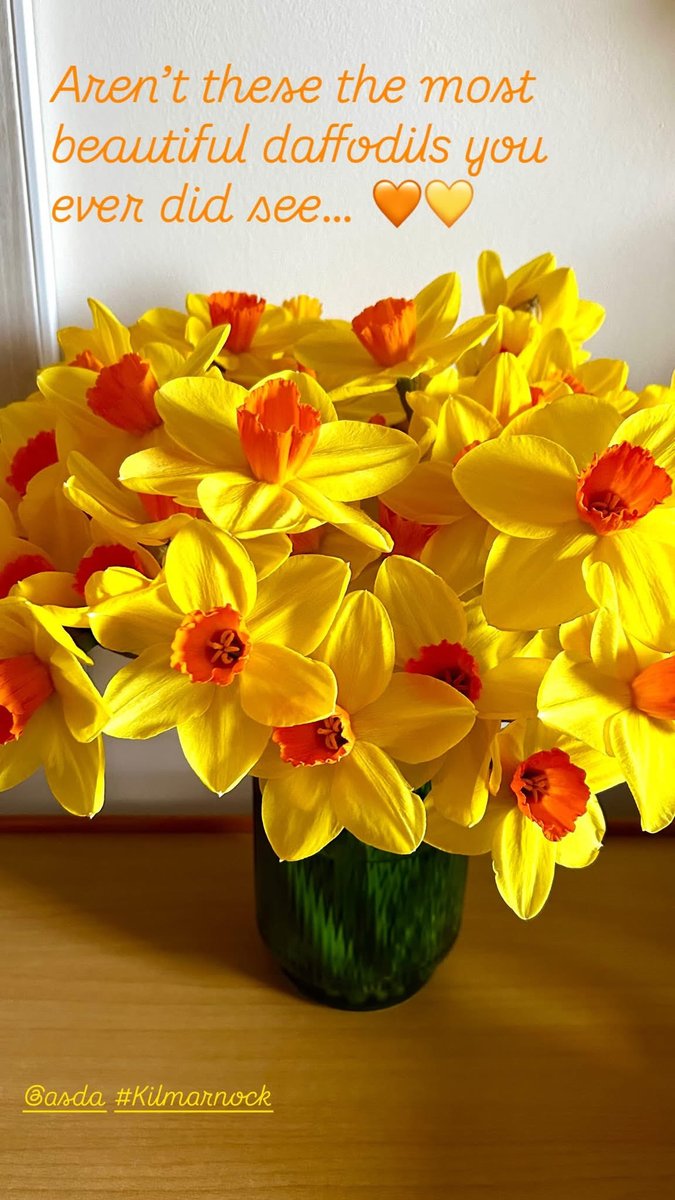 __Jenn100__'s tweet photo. @asda the most beautiful daffodil’s I’ve ever seen 🧡💛 #AsdaKilmarnock https://t.co/lvvBxfnuDn