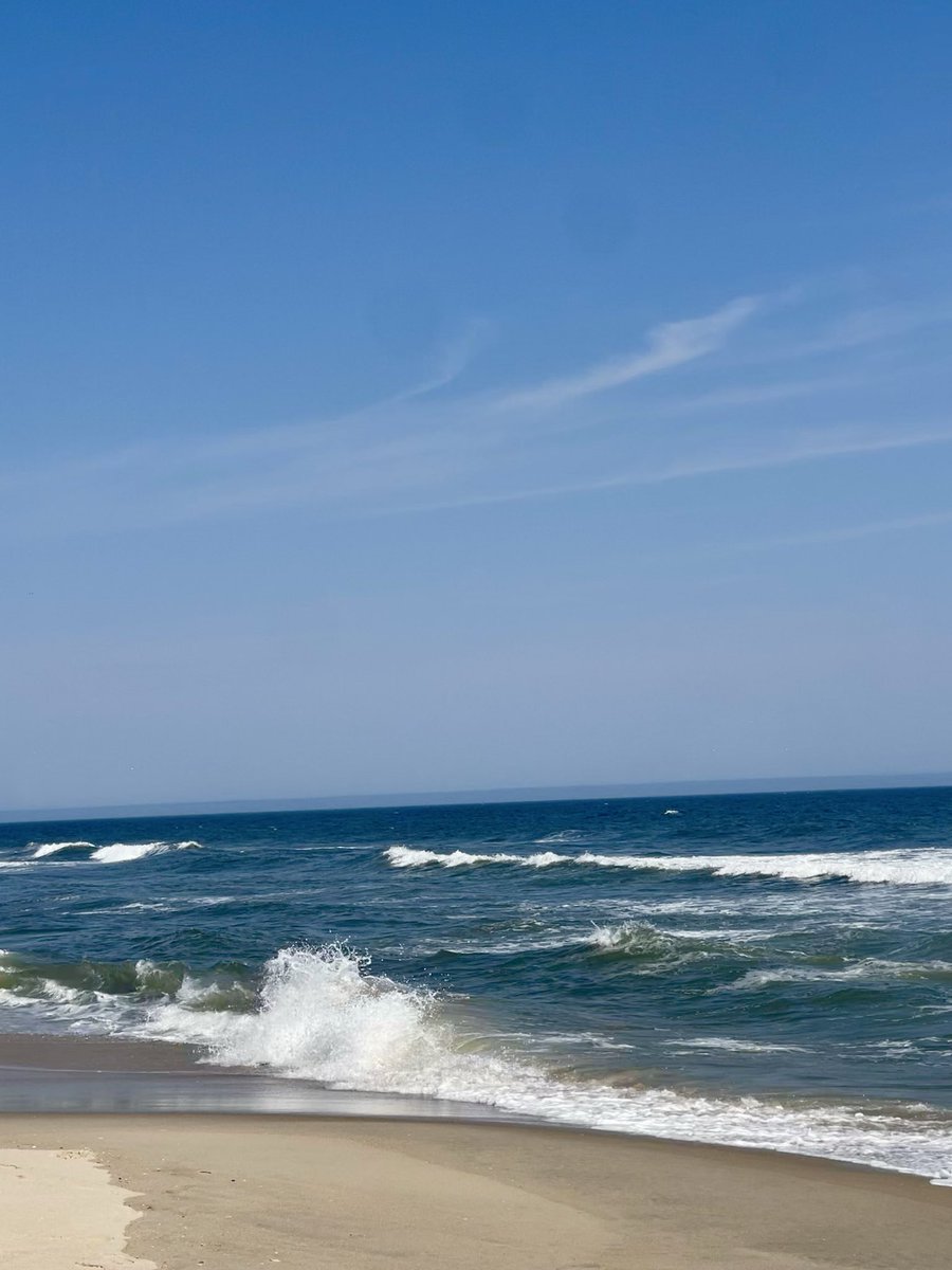 Brooklyn Morgan Johnson tweet media