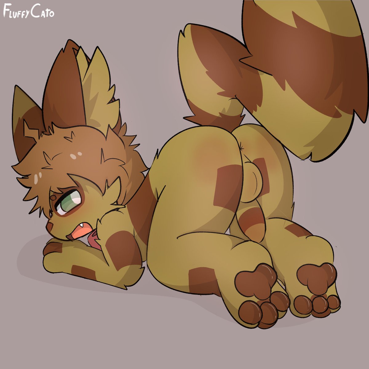 FluffyCato tweet media