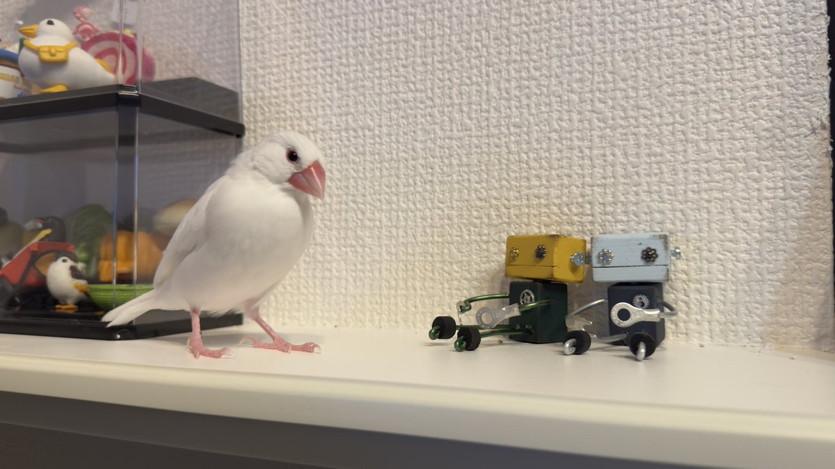 とりこ🐓 tweet media