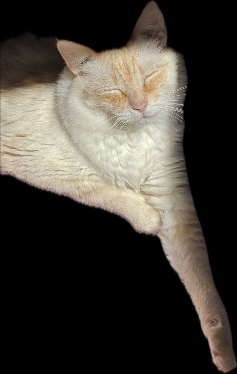 SpushFNBR tweet media