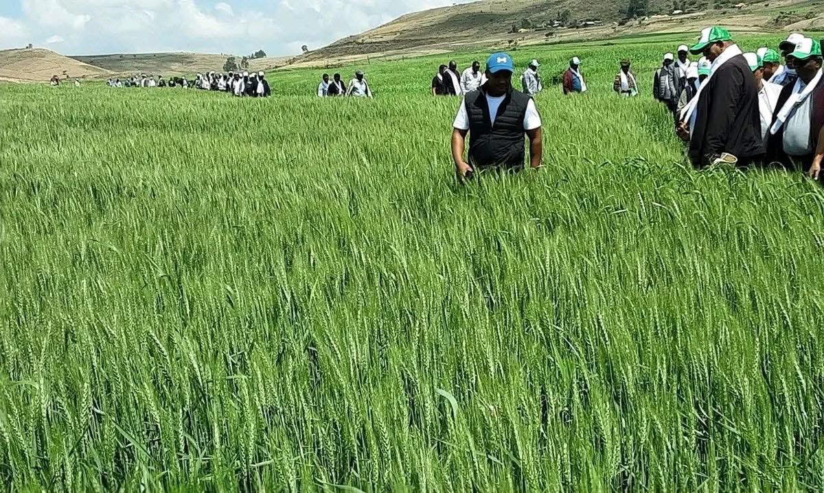 Ambassador Molalign Asfaw tweet media