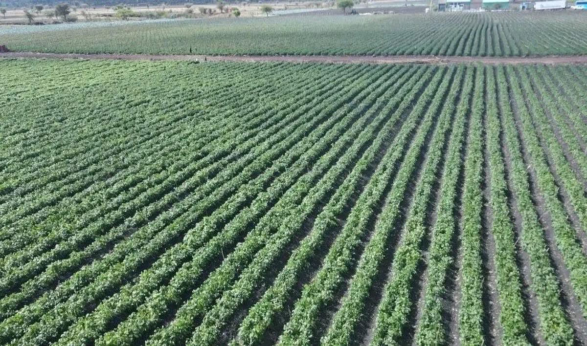 Ambassador Molalign Asfaw tweet media