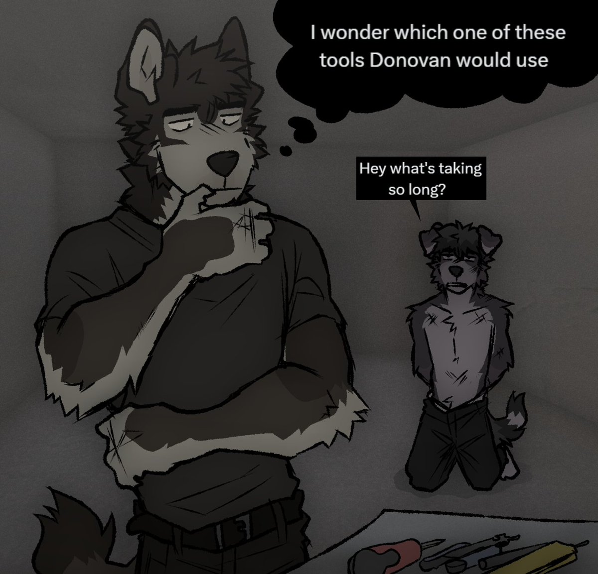 Aiden 🐊 tweet media