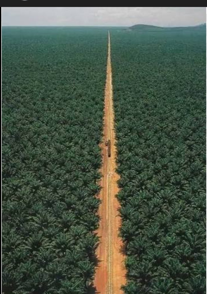 ✿◕‿◕ tweet media