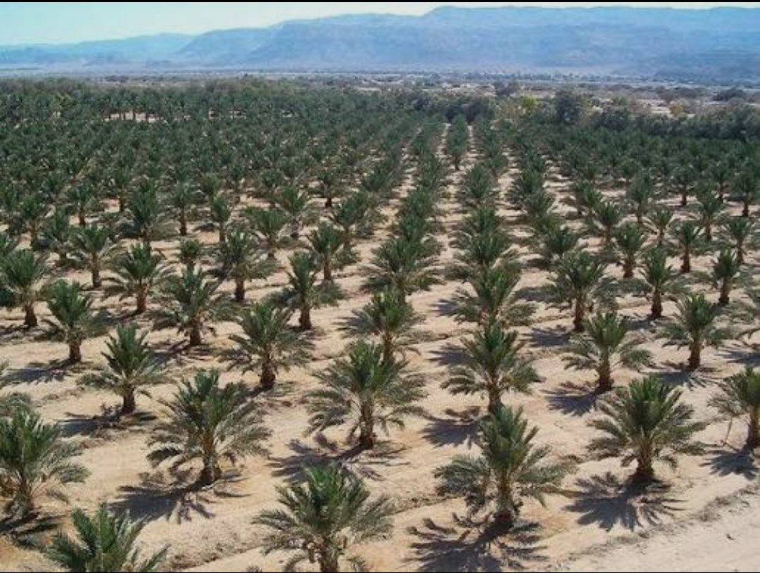 ✿◕‿◕ tweet media