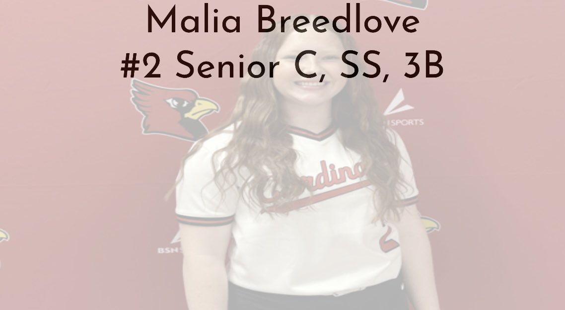 Southport Cardinal Softball tweet media