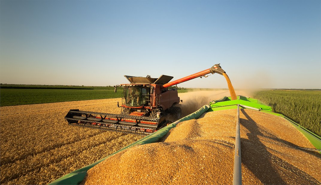 PNASNews's tweet image. Wary of #ClimateChange, scientists are strengthening #CropResilience—but hidden #PlantBiology trade-offs could impact #productivity &amp;amp; #nutrition. 🌱

A PNAS News feature: ow.ly/CYTq50YCrN4

#ClimateResilience #soybeans #wheat #HeatWave #photosynthesis #condensates