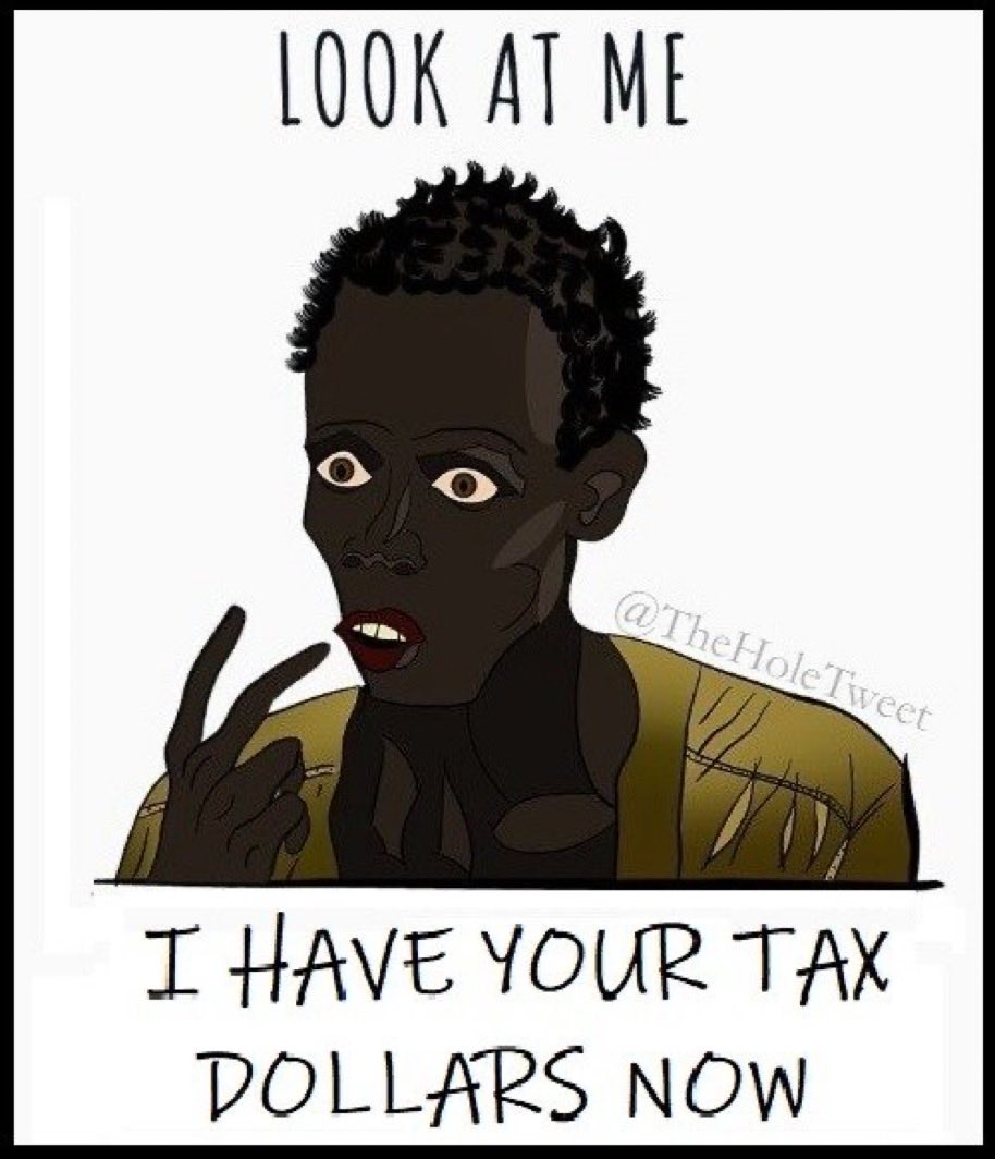 Texas Freedom tweet media