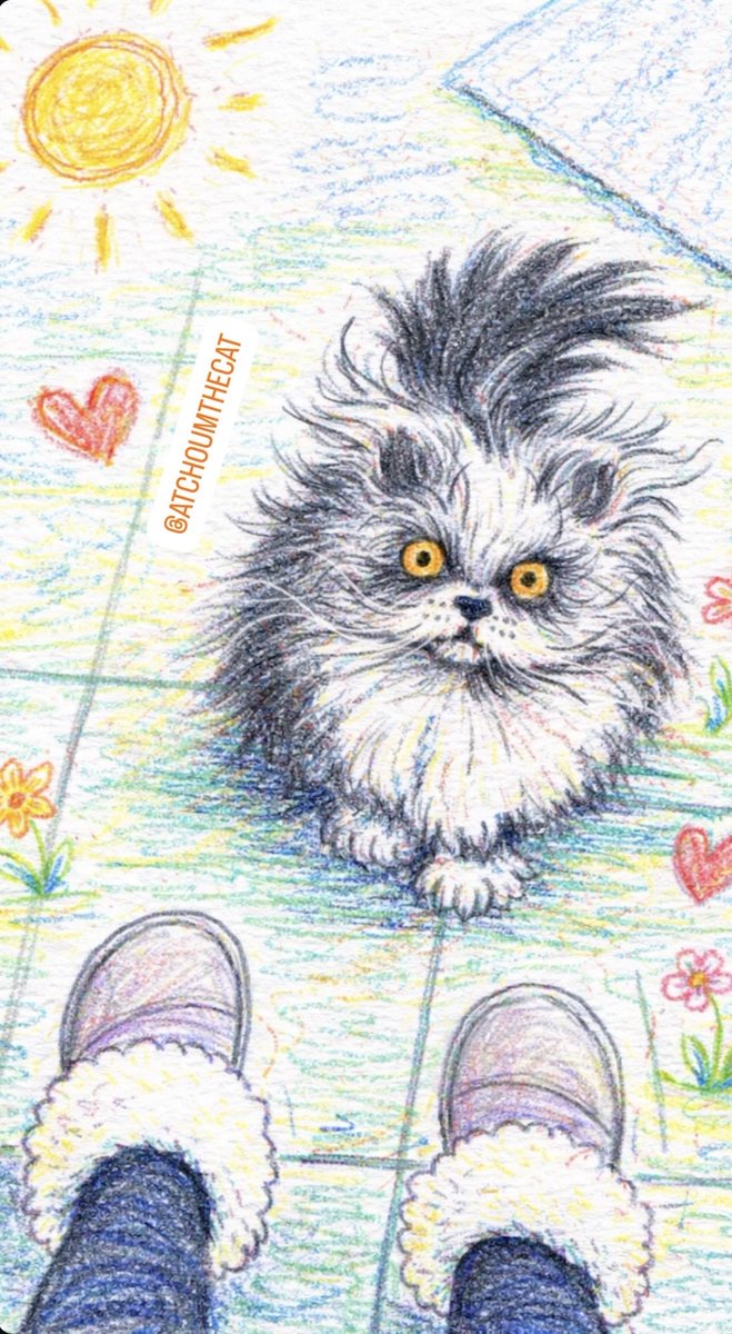 Atchoumthecat tweet media