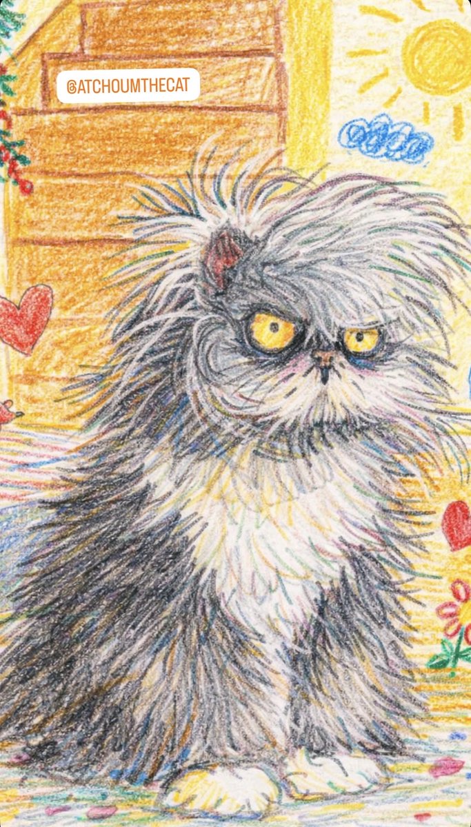 Atchoumthecat tweet media