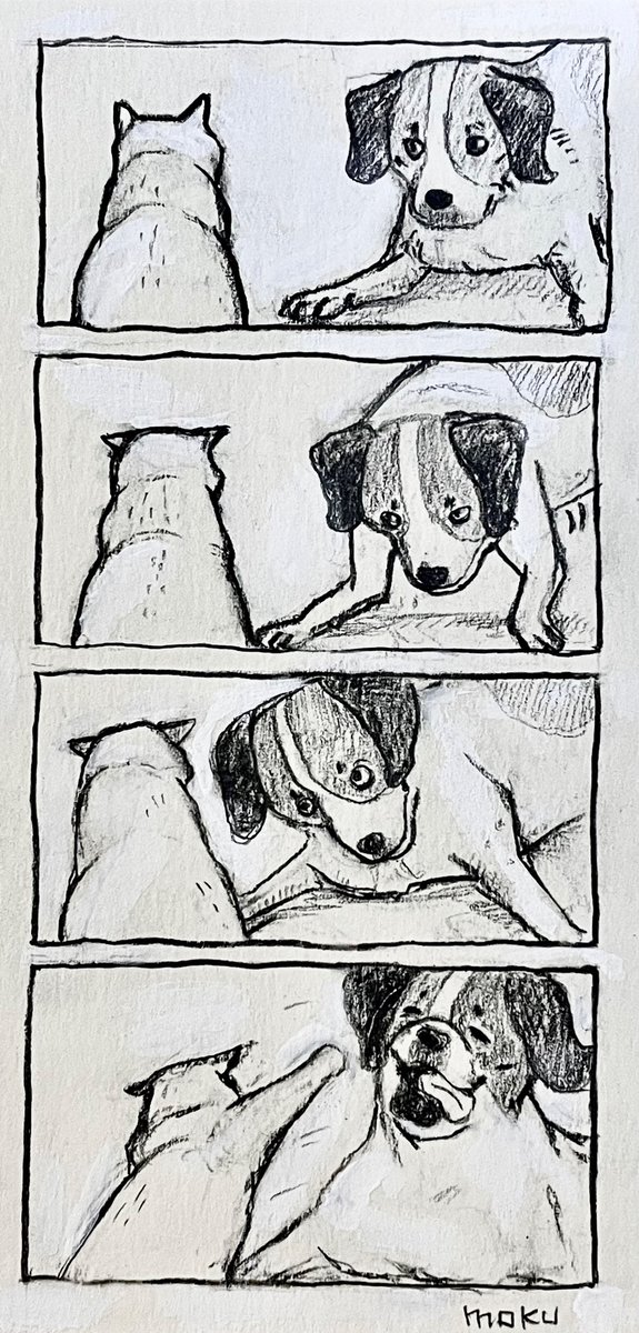 橋本もく tweet media