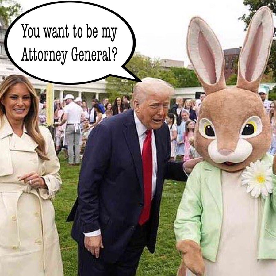 HapaHawn_in_California tweet media