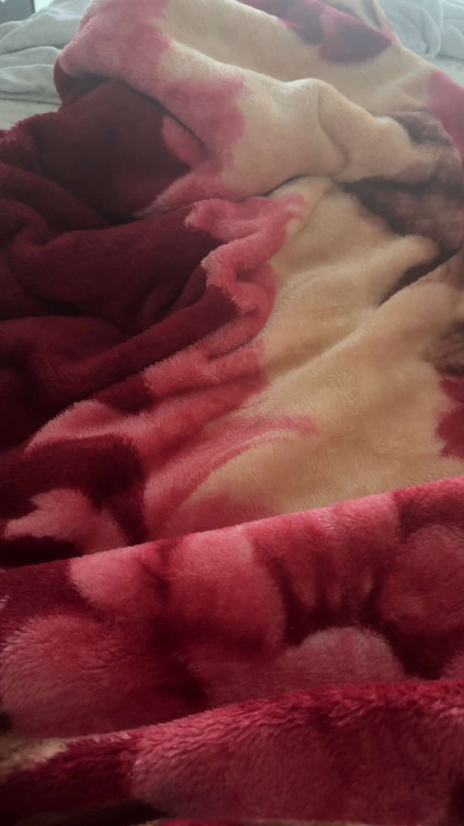 enfant du reve 🕷️ tweet media