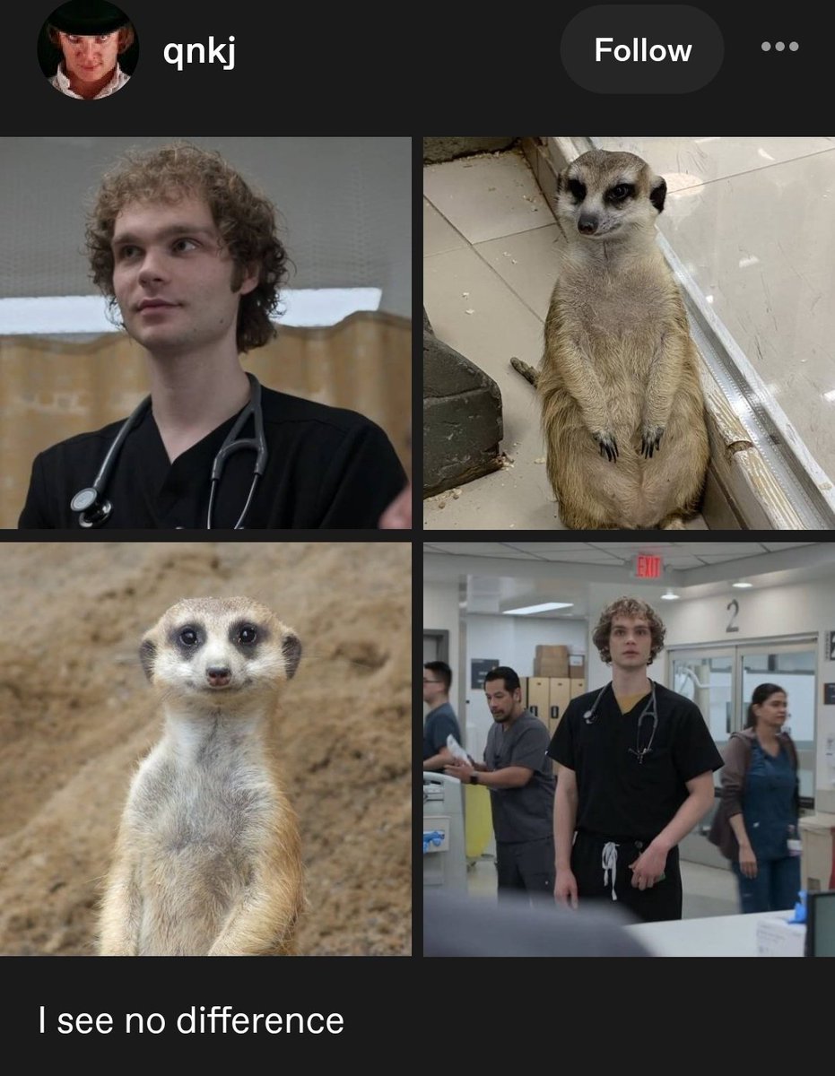 Jess #1 The Suspect Fan 🐳💣 tweet media