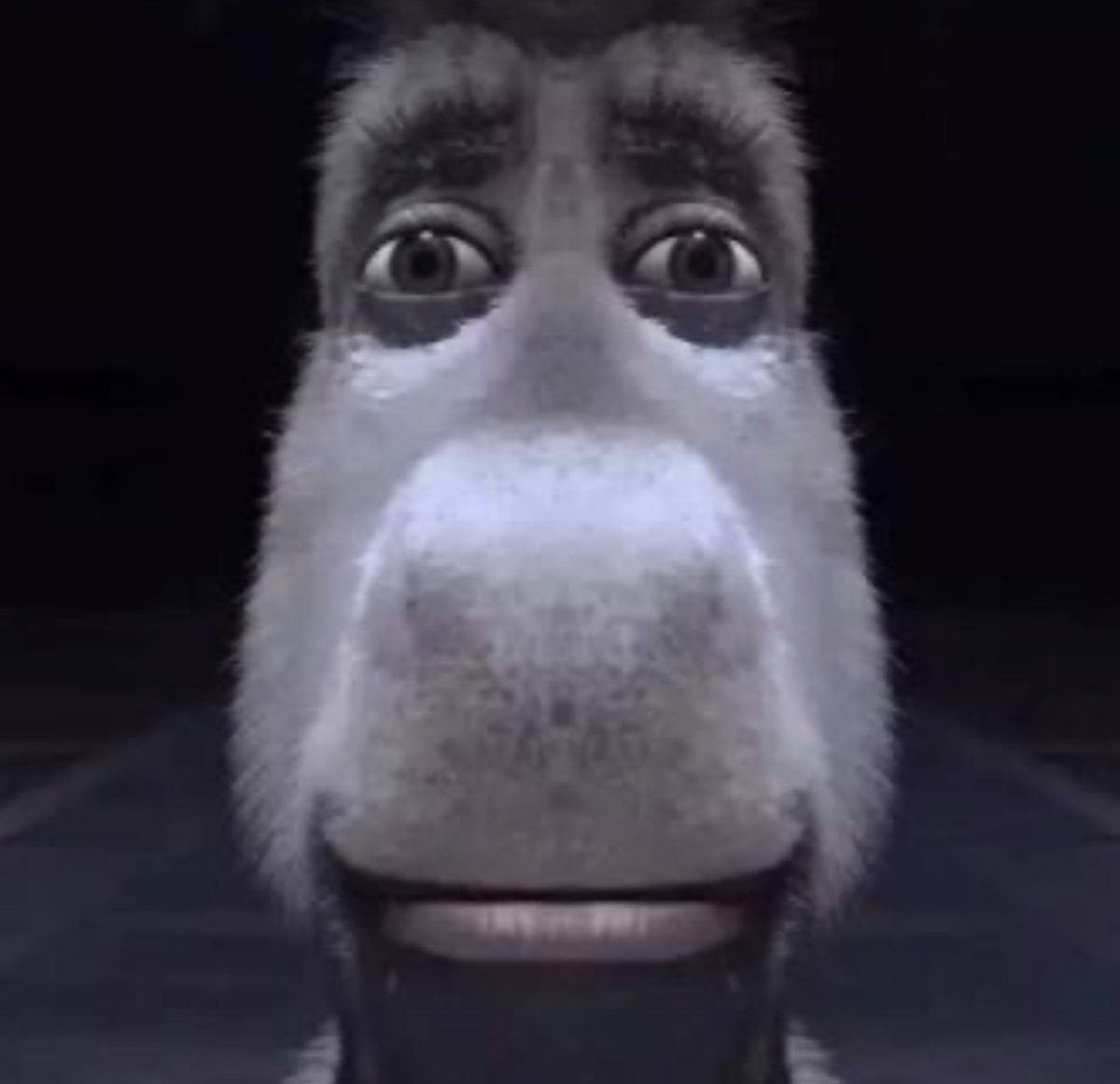 𑣲𝓝𝒾𝒸ℴ ༘⋆ tweet media