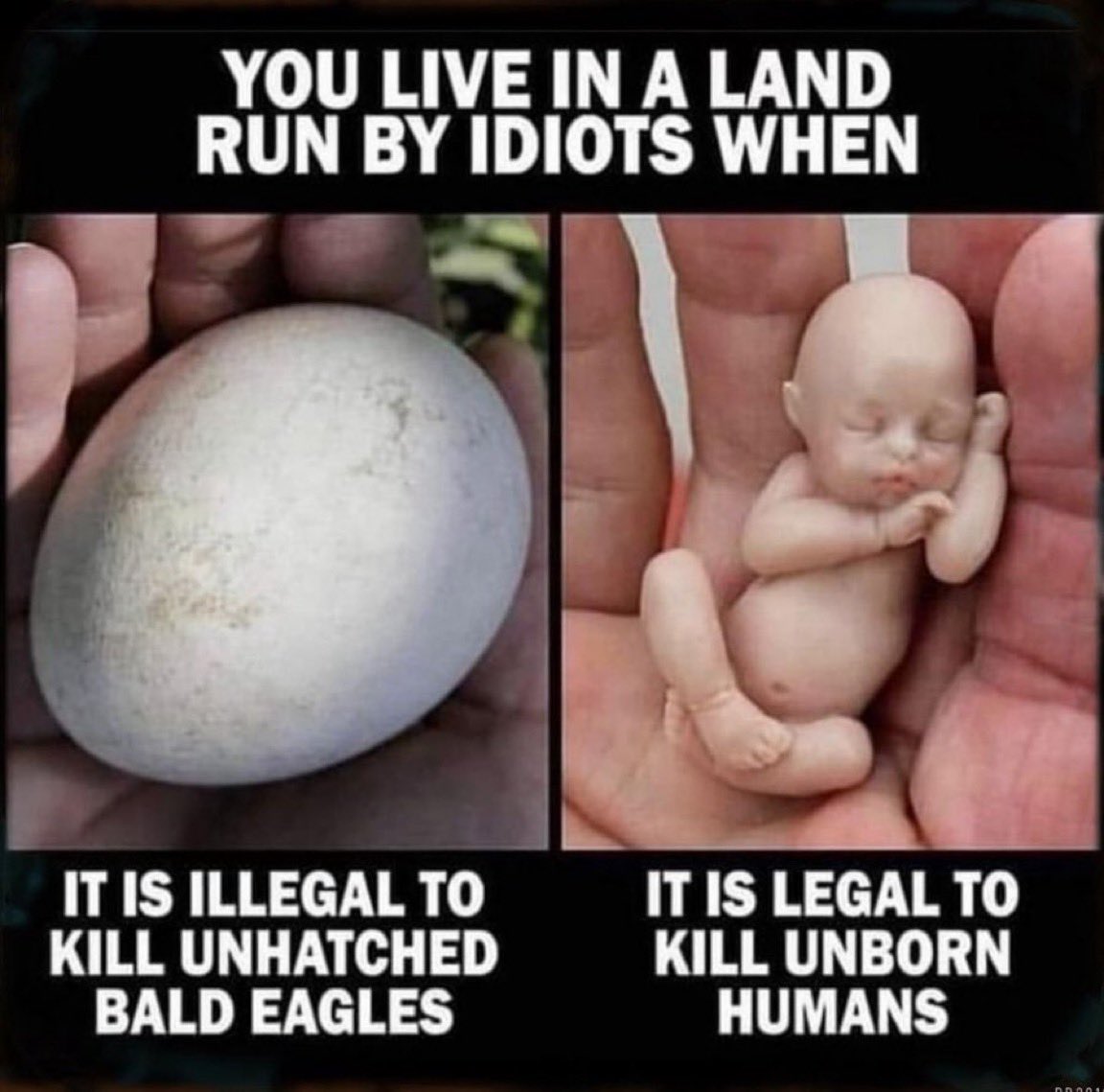 Bryan Kemper 🇺🇸 tweet media