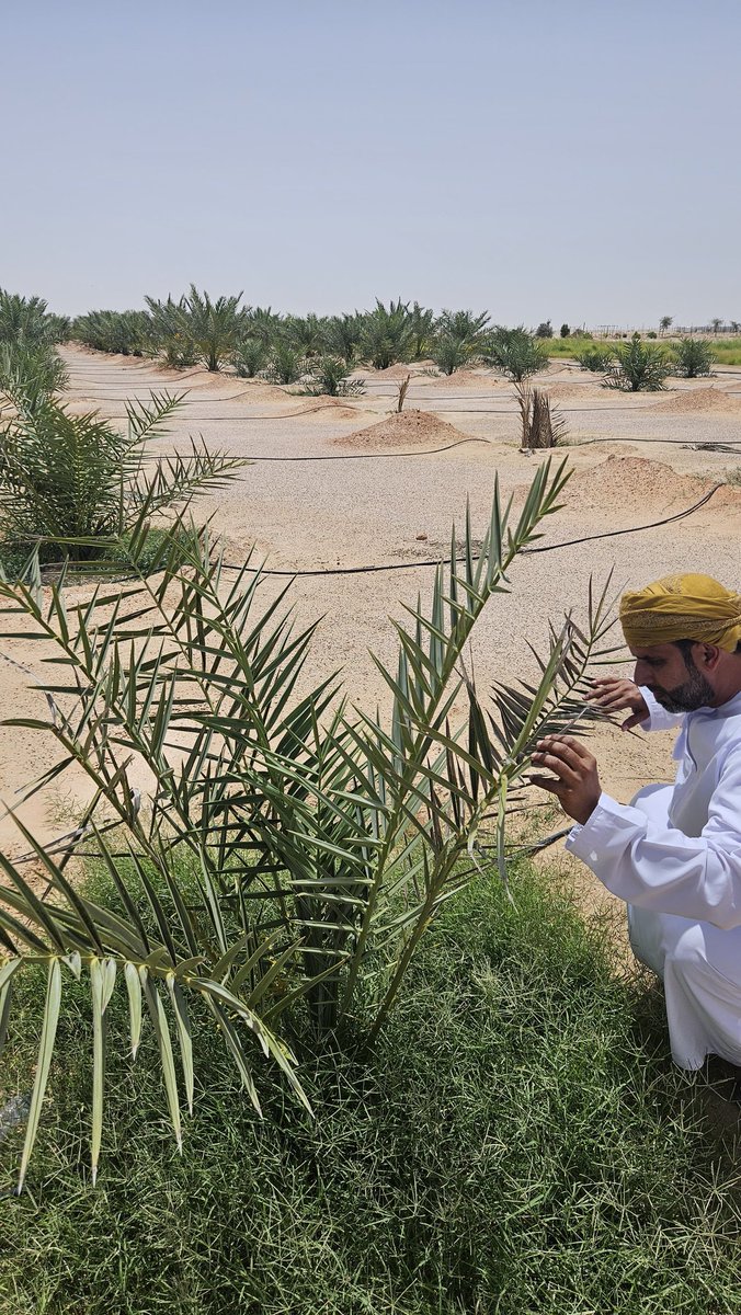 الثروة الزراعية والسمكية وموارد المياه بالوسطى tweet media