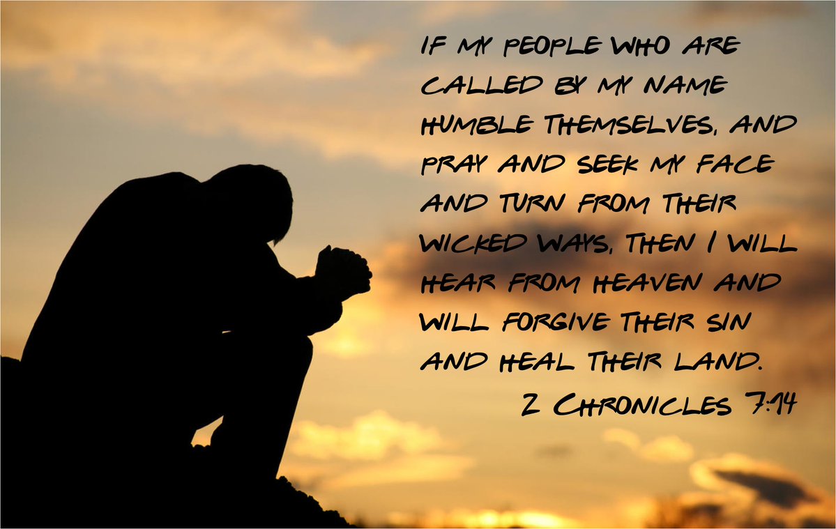 Clara Murzynski tweet media