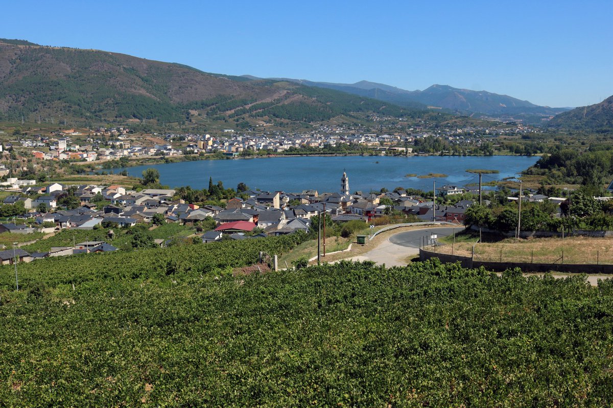 Sobrelias_'s tweet image. El tamaño del viñedo, factor clave para la aportación del sector del vino a la economía gallega #sector #vino @Xunta #Economia @CienciaUNEMI1 #investigacion ojs.unemi.edu.ec/index.php/cien…