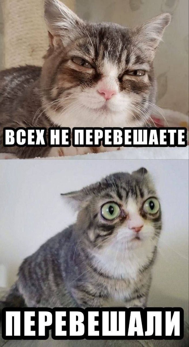 𝕾𝖙𝖆𝖓𝖑𝖊𝖞 tweet media