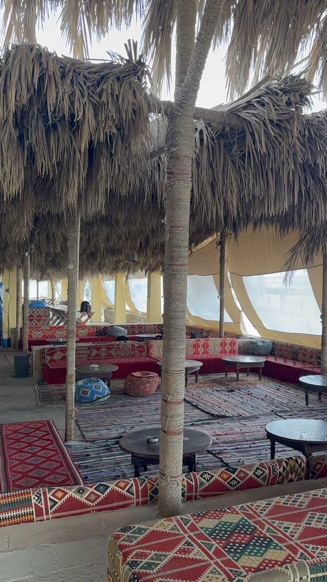 Godess Isabella 🐆 tweet media