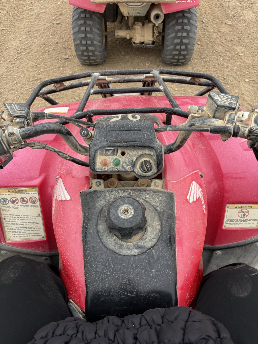 Godess Isabella 🐆 tweet media